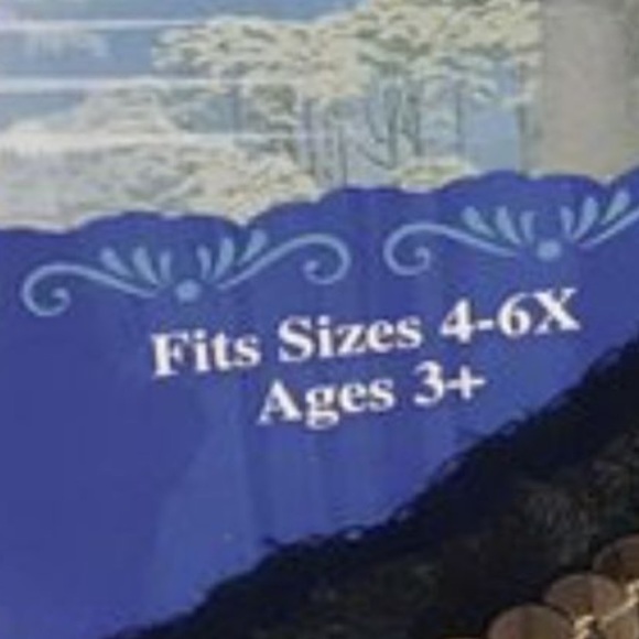 Anna dress from Disney NWT - Picture 6 of 8